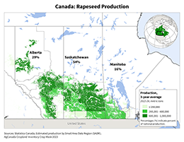 images\CA\cropprod\Canada_Rapeseed_preview.png